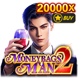 money bags man 2